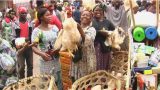 Le prix du poulet est en baisse dans les marchés de Yaoundé Cameroun.