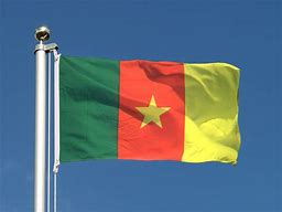 Cameroun : construire demain