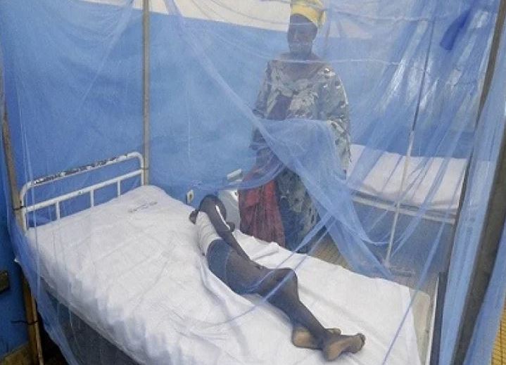 Trois millions de Camerounais touchés par le paludisme en 2022