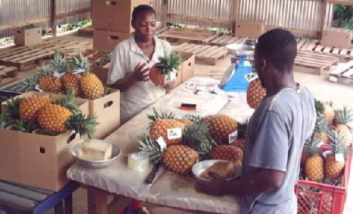 Entrepreneuriat : Près de 350 000 PME estimées au Cameroun en 2022