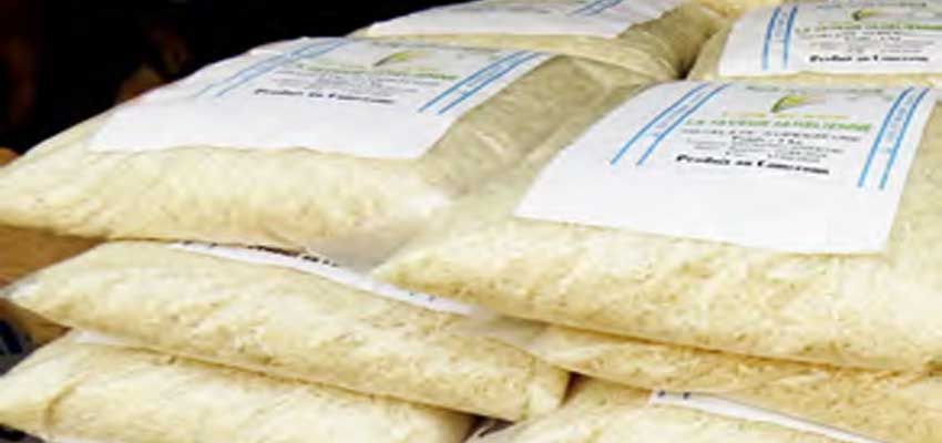 Cameroun : le gouvernement autorise l’importation rapide de 150 000 tonnes de riz