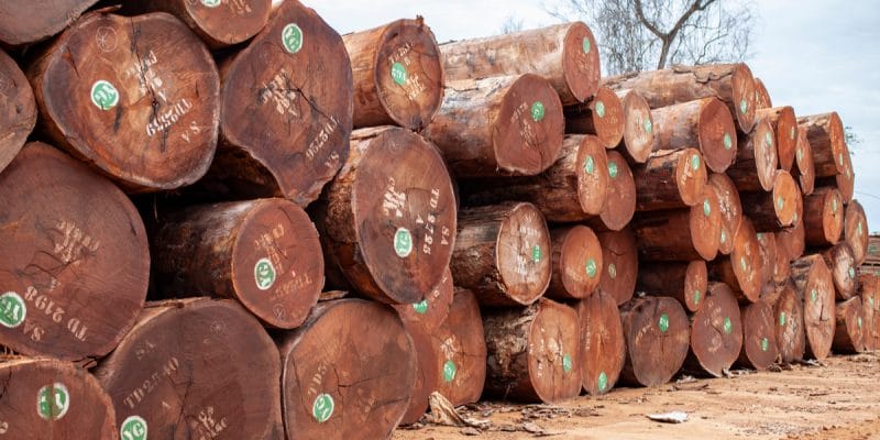 Cameroun : un accord pour soutenir les PME de la filière bois